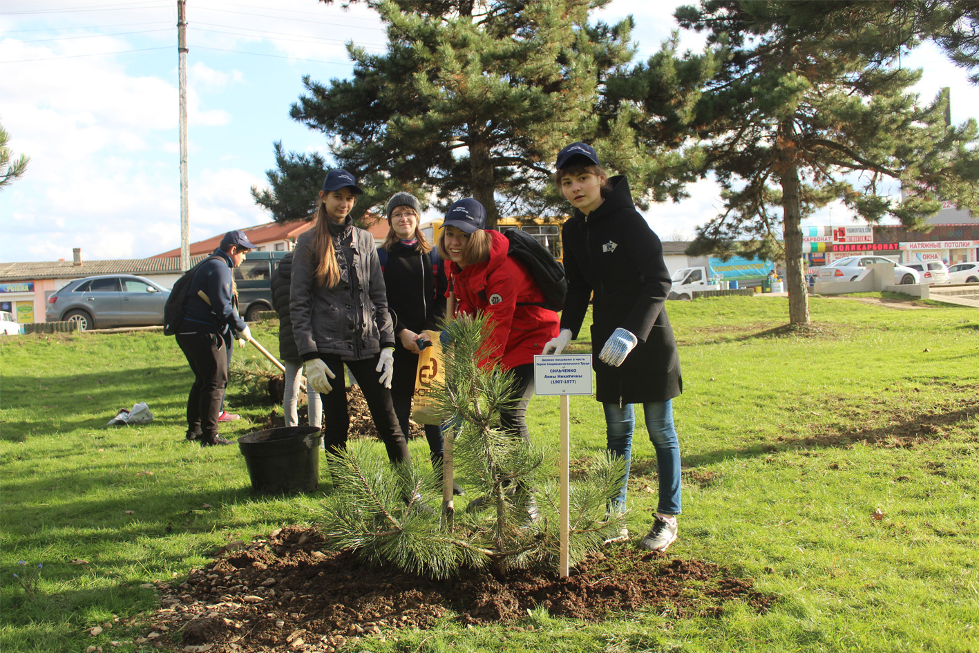 Пятьдесят сосен высажены в парке им. 30-летия Победы в Абинске
