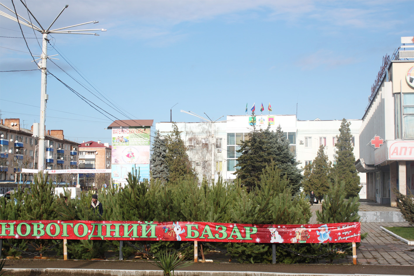 В городе Абинске идет санкционированная торговля на елочных базарах