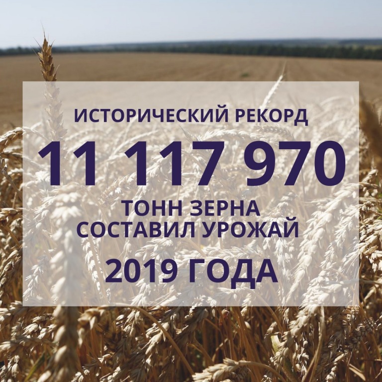 На Кубани собран рекордный урожай в 11 млн 117 тысяч тонн зерна