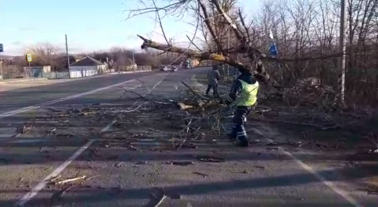 В Абинске сотрудники Госавтоинспекции во время сильного ветра оказали помощь водителям