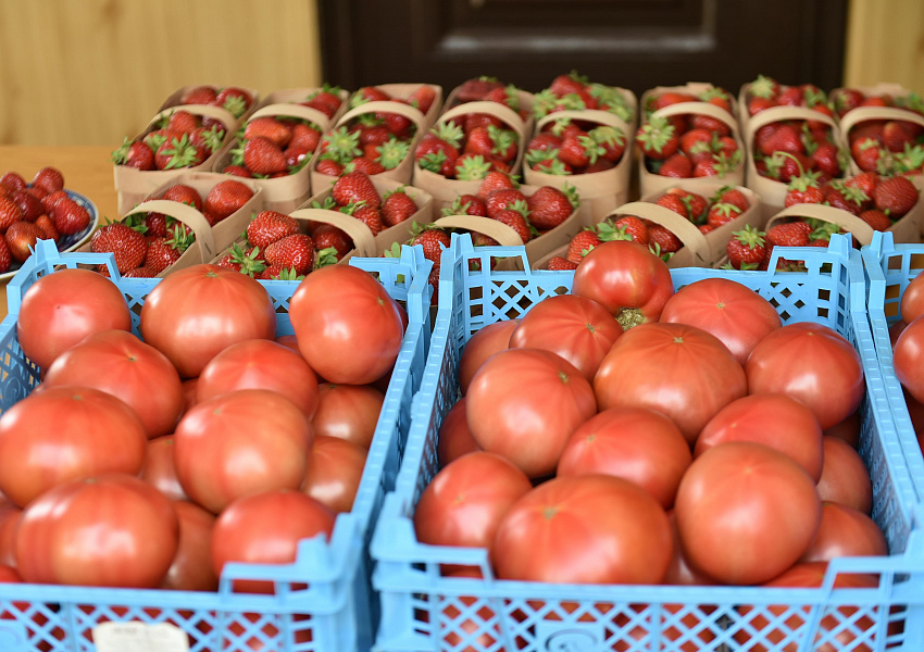 На Кубани малые формы хозяйствования ежедневно реализуют порядка 70 тонн овощей