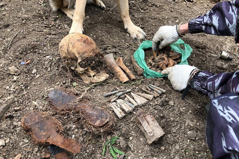 Под Новороссийском обнаружены останки двух красноармейцев
