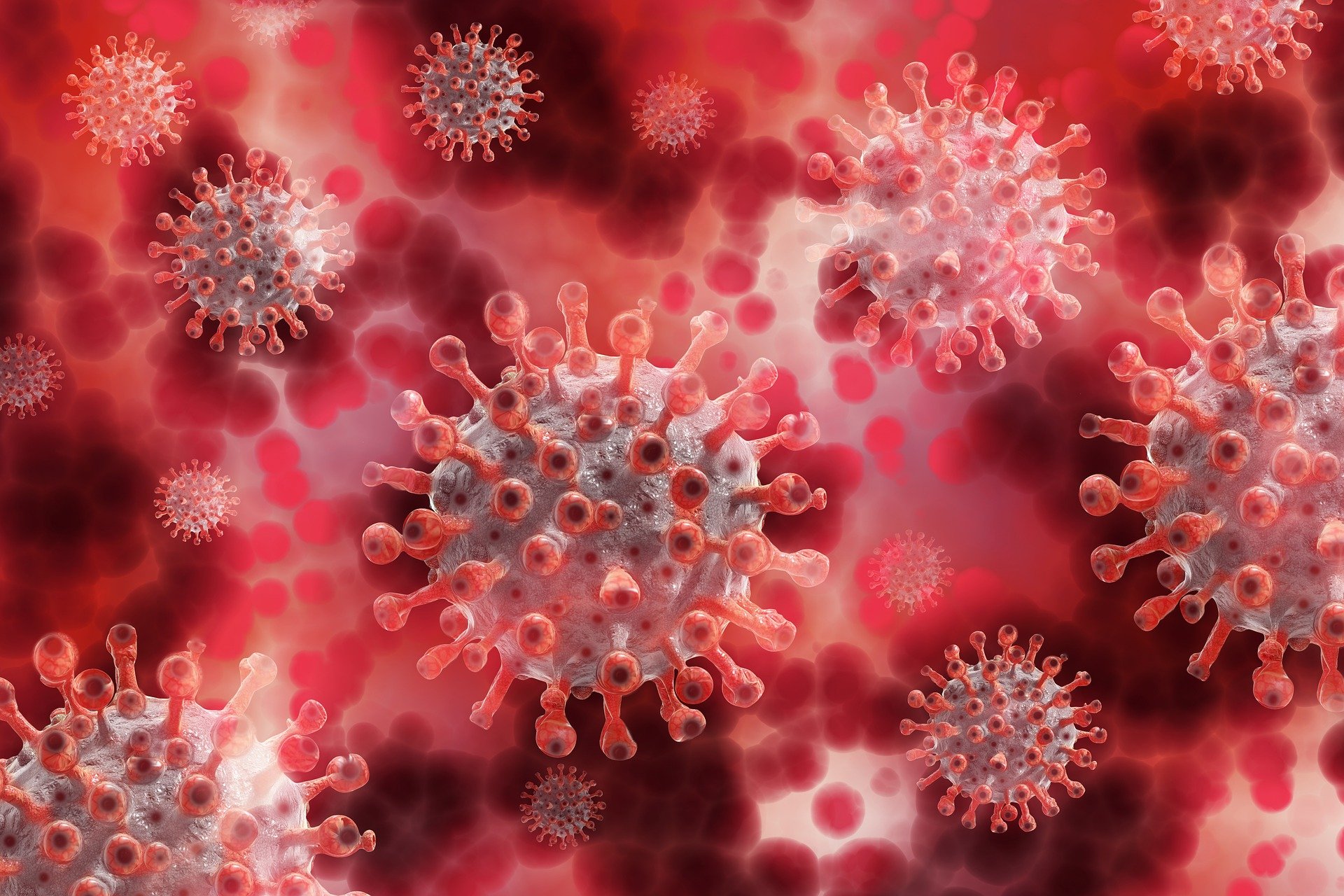 По причине распространения омикрон-штамма коронавируса ВОЗ ожидает рост числа госпитализаций и смертей