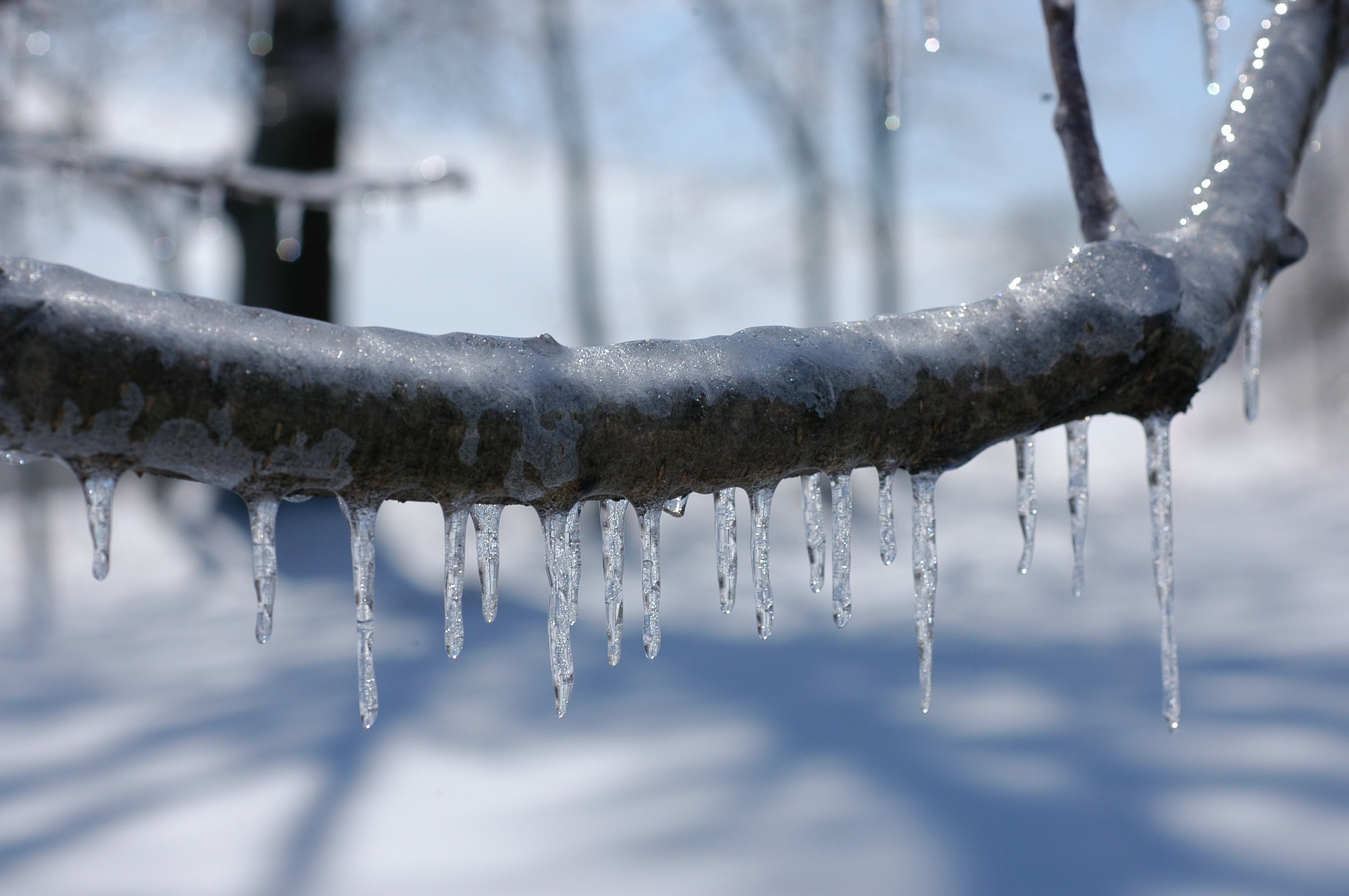 Похолодание на 12 градусов ожидается на Кубани