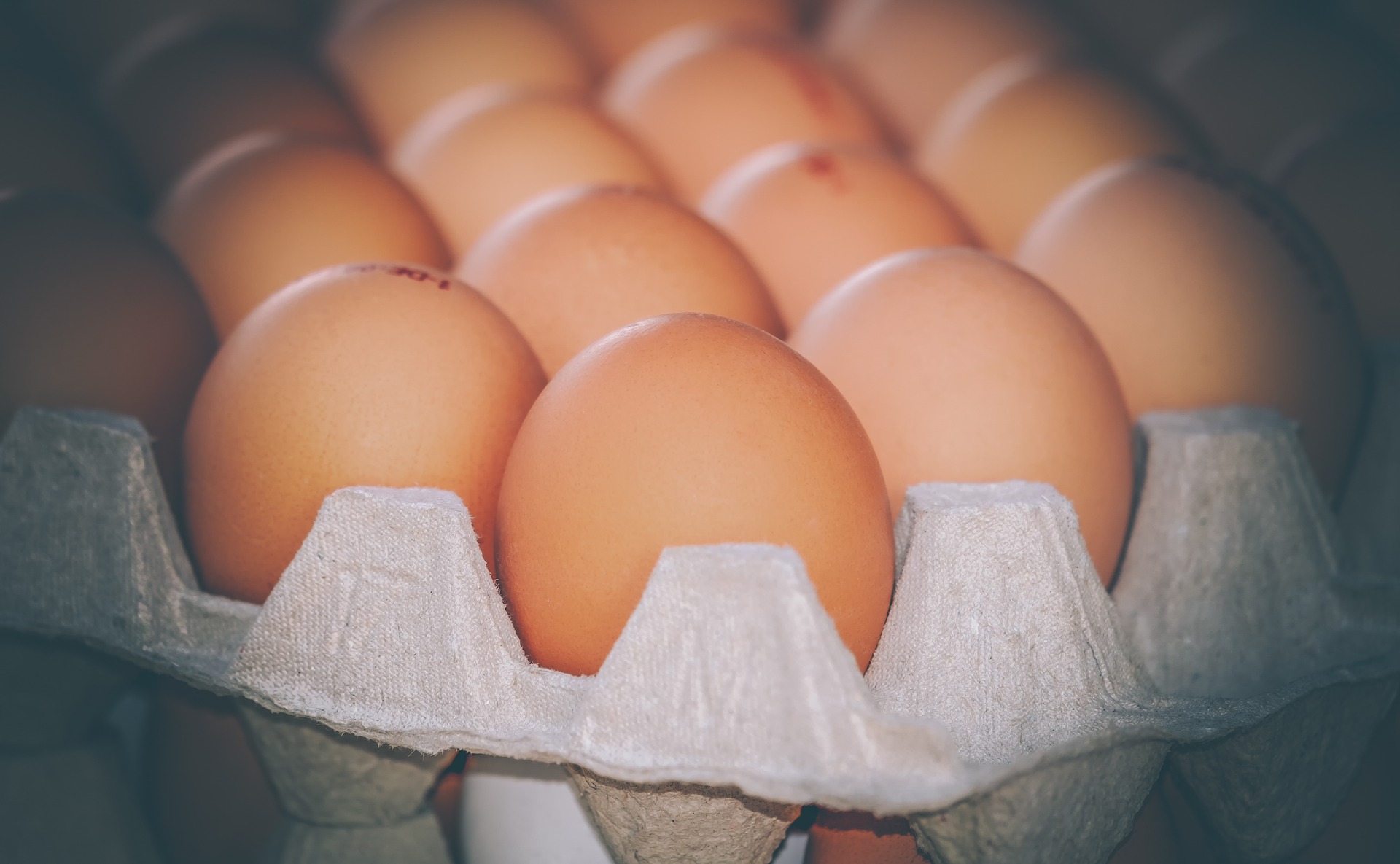 Эксперты подсчитали сколько яиц россияне съедают за год