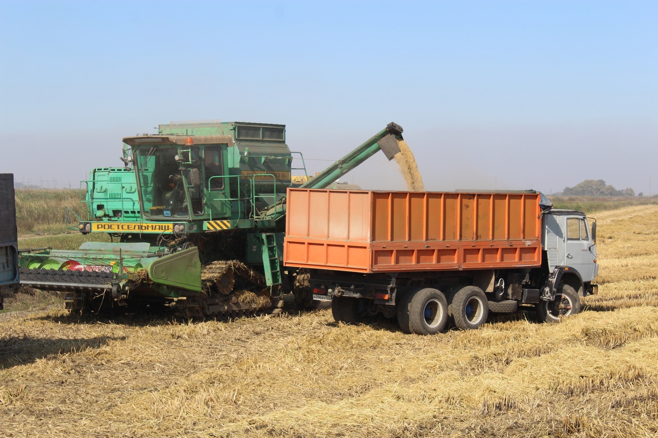Аграрии Абинского района продолжают убирать рис