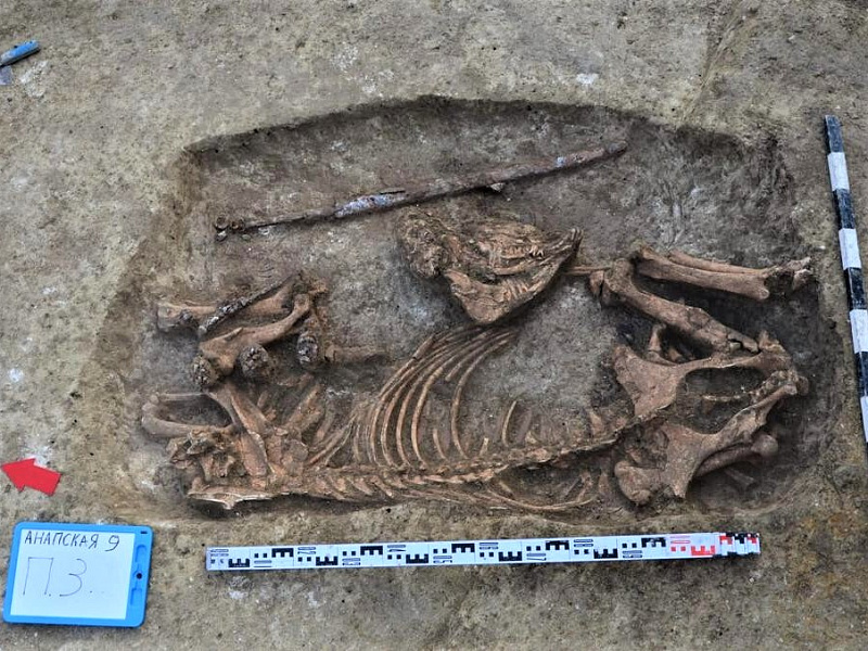 Древний могильник обнаружили в станице Анапской