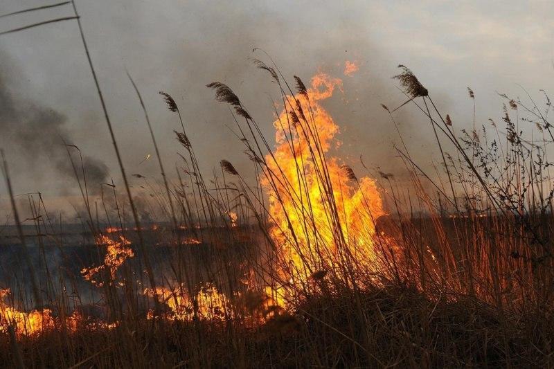 В Абинском районе объявлена чрезвычайная пожароопасность
