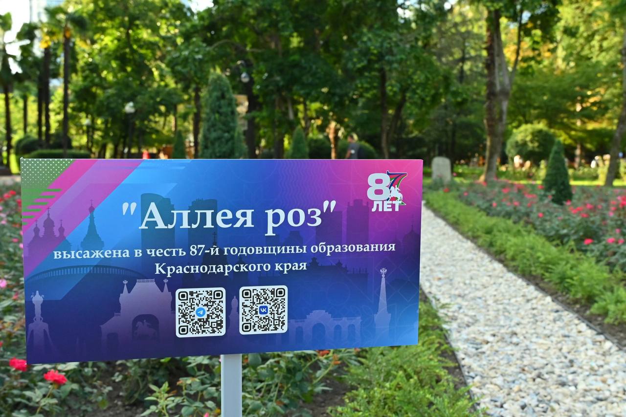 В Сочи высадили целую аллею роз ко Дню образования Краснодарского края