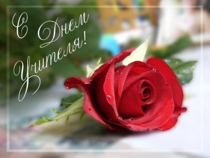 Уважаемые педагоги!