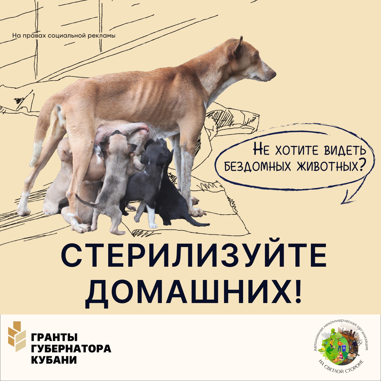 Нормы содержания и законодательство в области обращения с животными в РФ